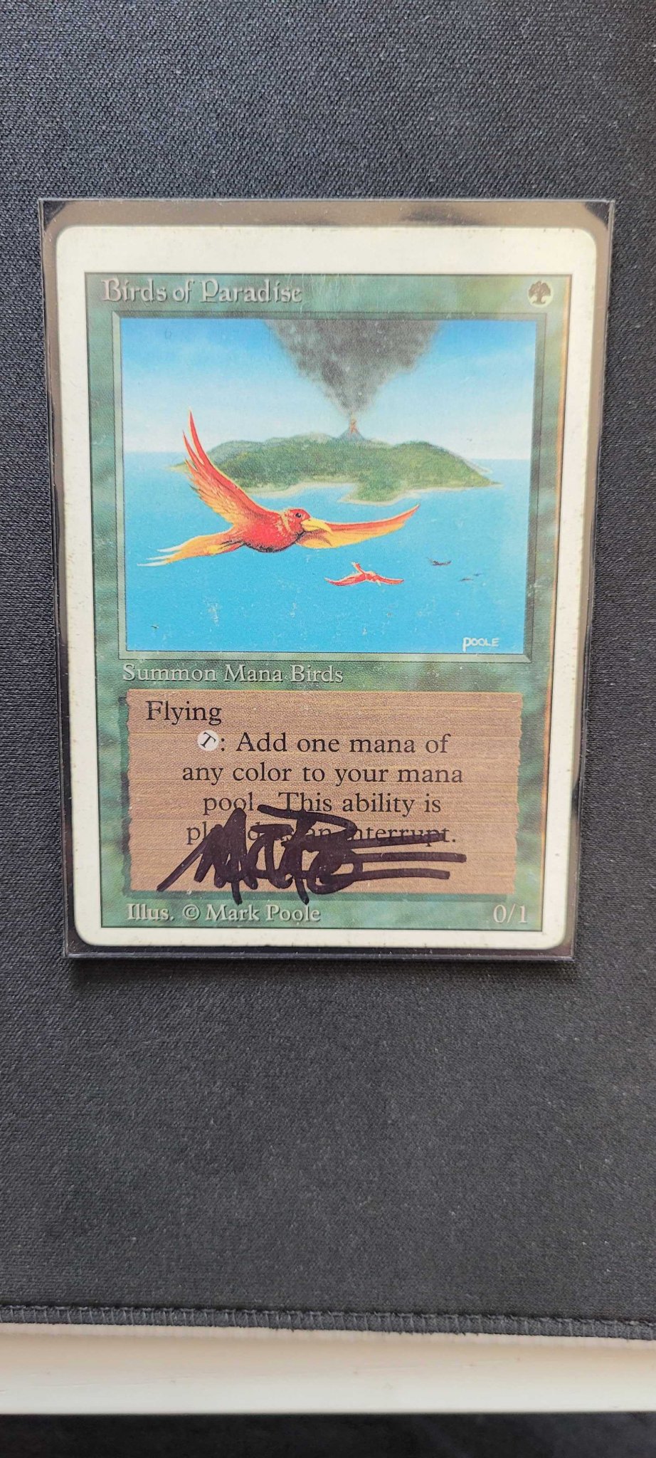 MagicCon haul: Mark Poole Birds of Paradise sketch card