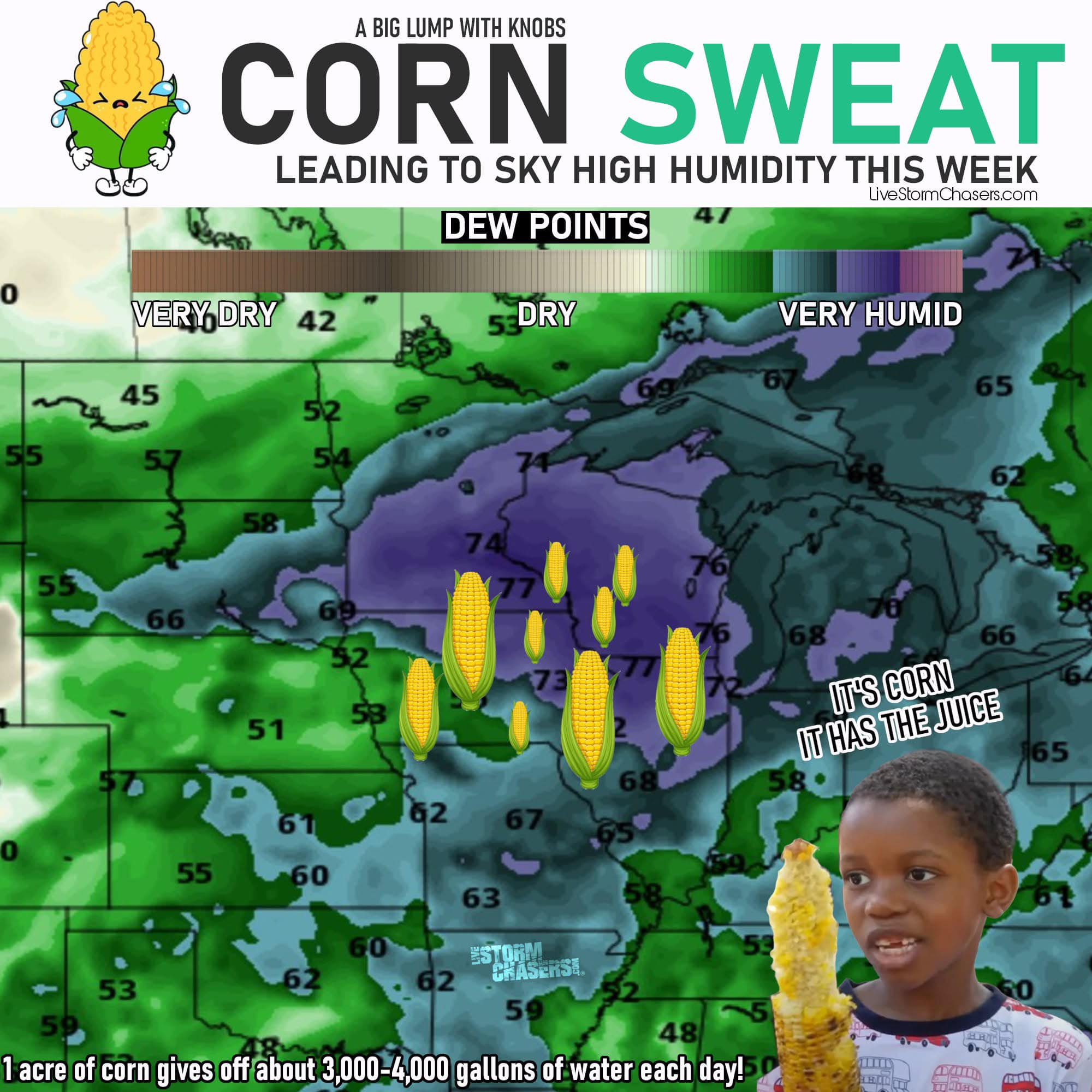 Arnold Community Group UK | If Nottingham folk say I’m sweating my cobs ...
