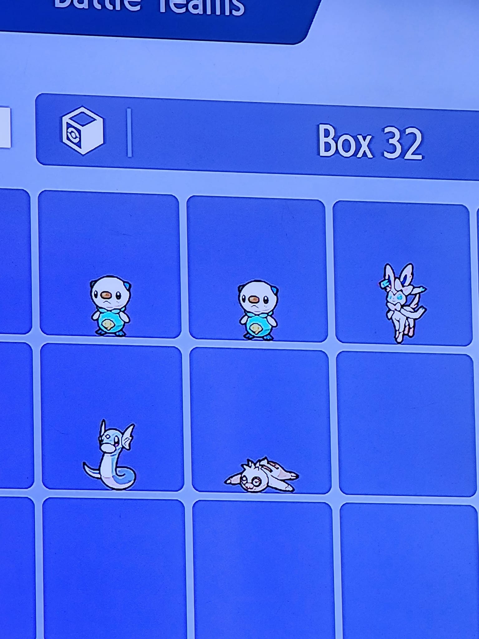 Pokémon Kubfu 6IV Lv.10 – Leggendario Urshifu Per Spada/Scudo, Violetto/Scarlatto