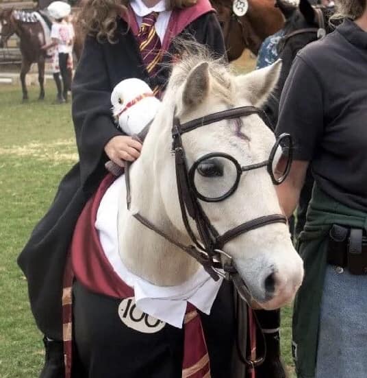 Horse And Pony Fancy Dress