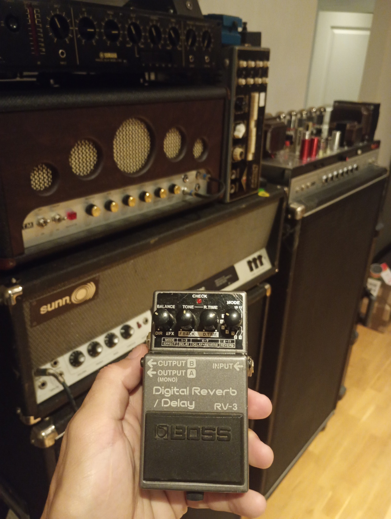 Tried alot of reverbs, but damn a boss rv3 is hard to beat 