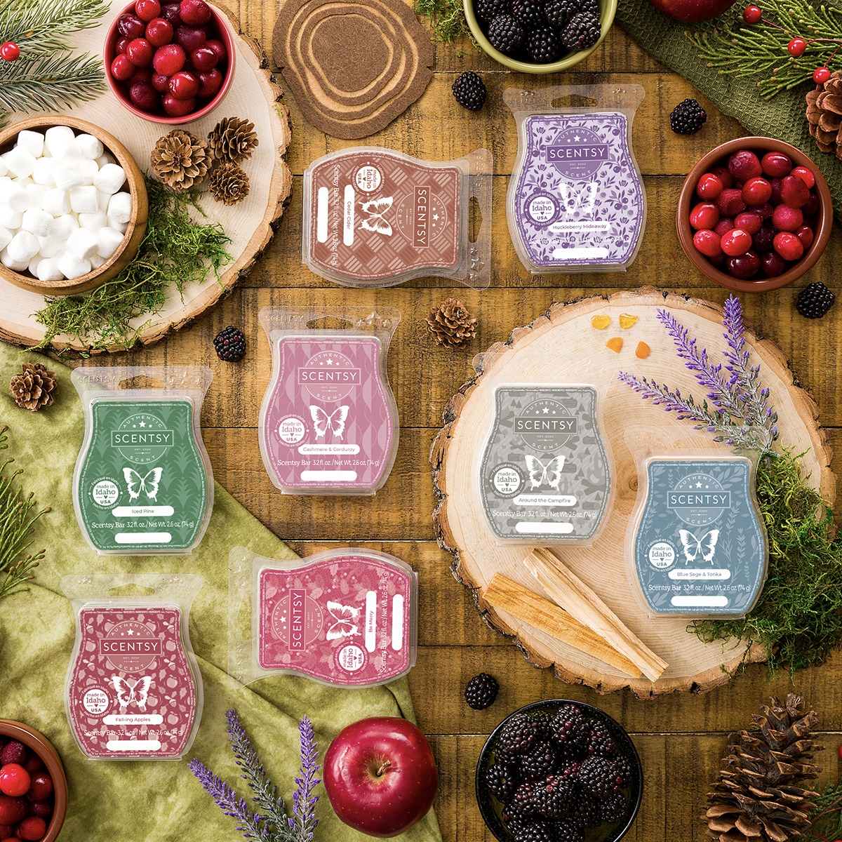 Scentsy - Branch out into our wood fragrances! This fragrance family ...