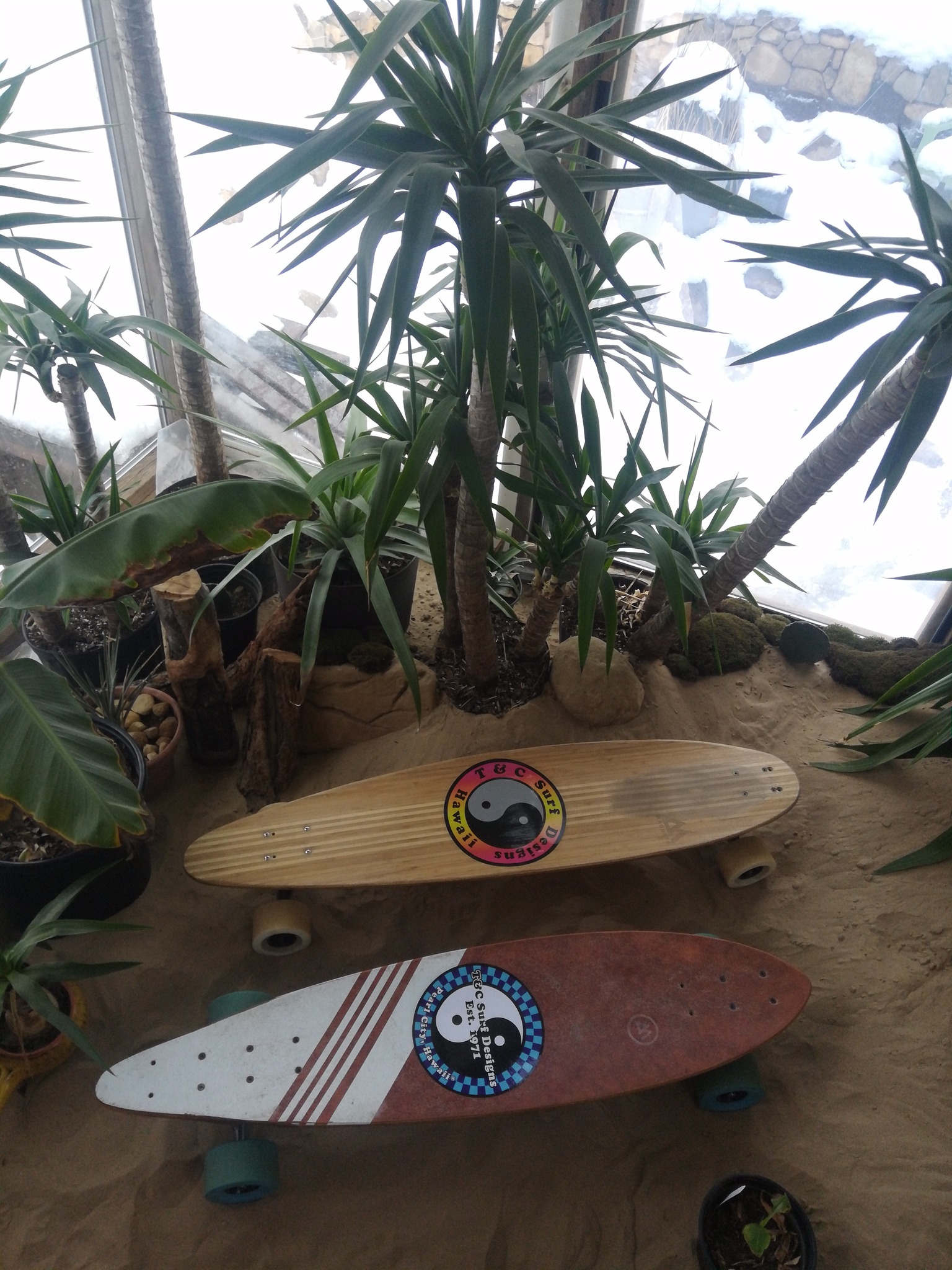 Vintage surf stickers on surfskate