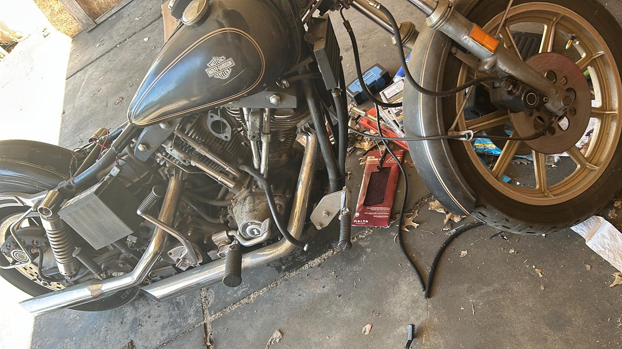 How to identify a rare 1982 Harley-Davidson Sturgis model?