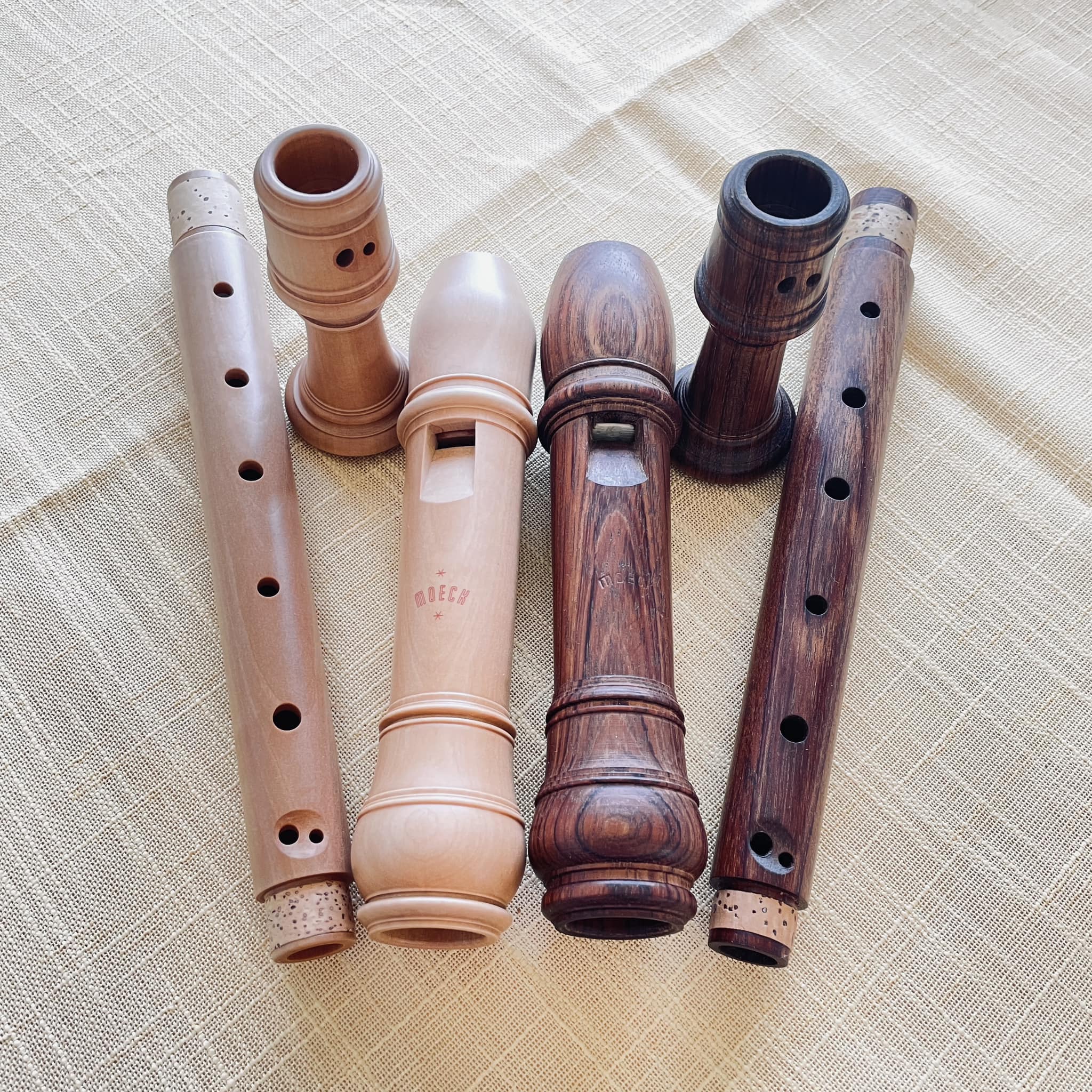 Introduction to a recorder player with Hopf Praetorius and Moek