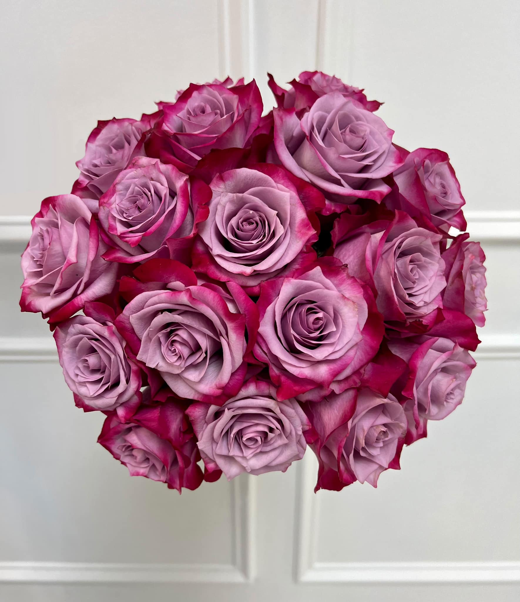 Rio Roses - The Rio Deep Purple Rose is a stunner! Rich in...