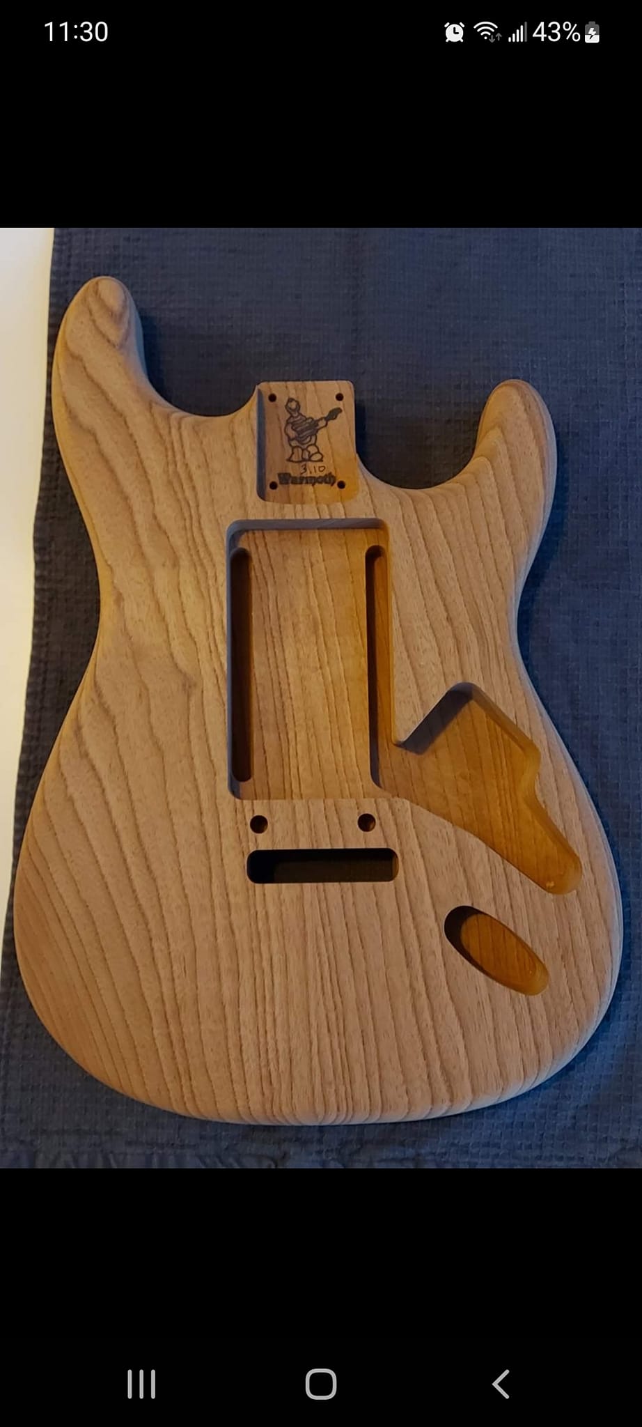 Warmoth guitar with roasted swamp ash body and emg dg20