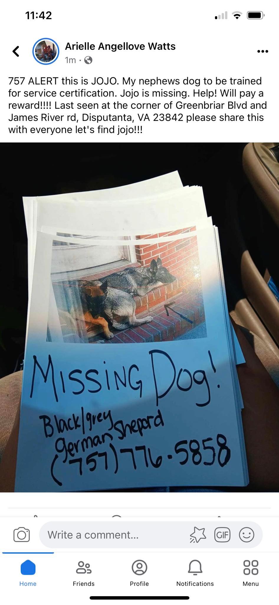 Lost Male German Shepherd in Prince George County