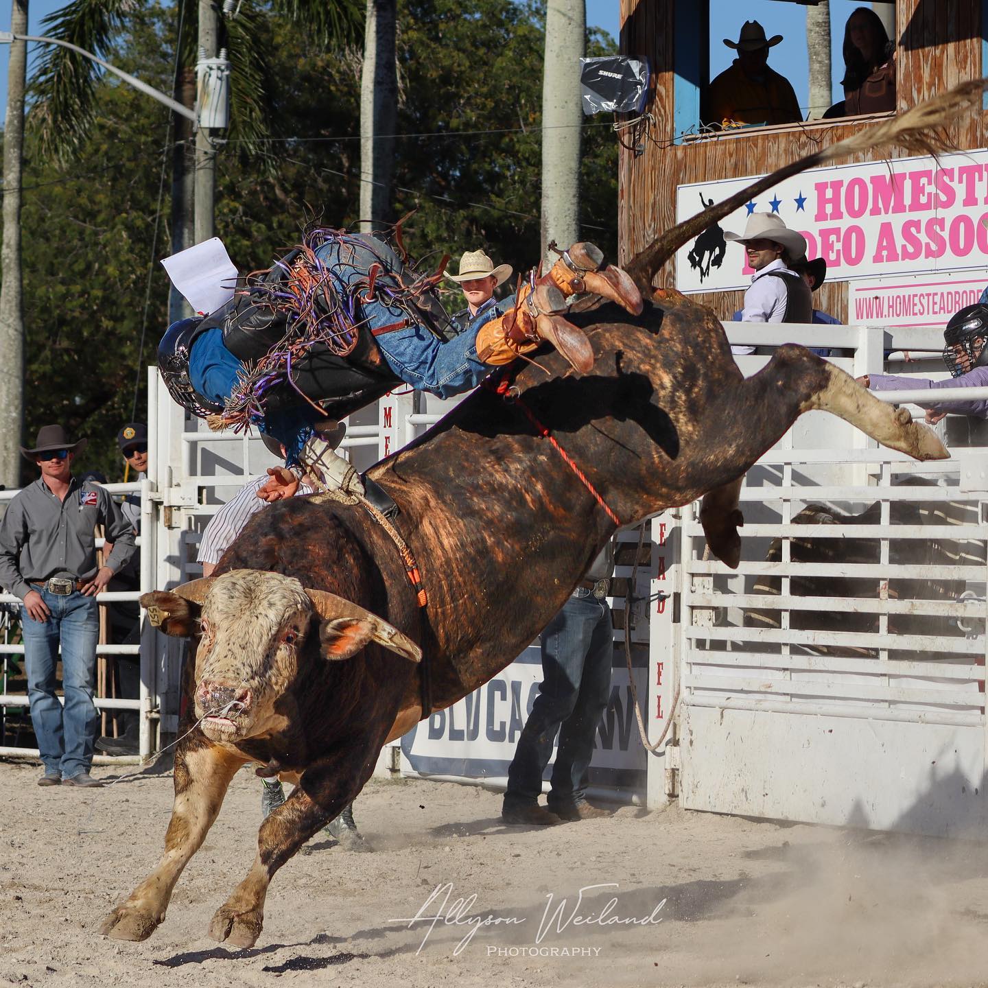 Homestead Rodeo - How it feels when you realize Christmas... | Facebook