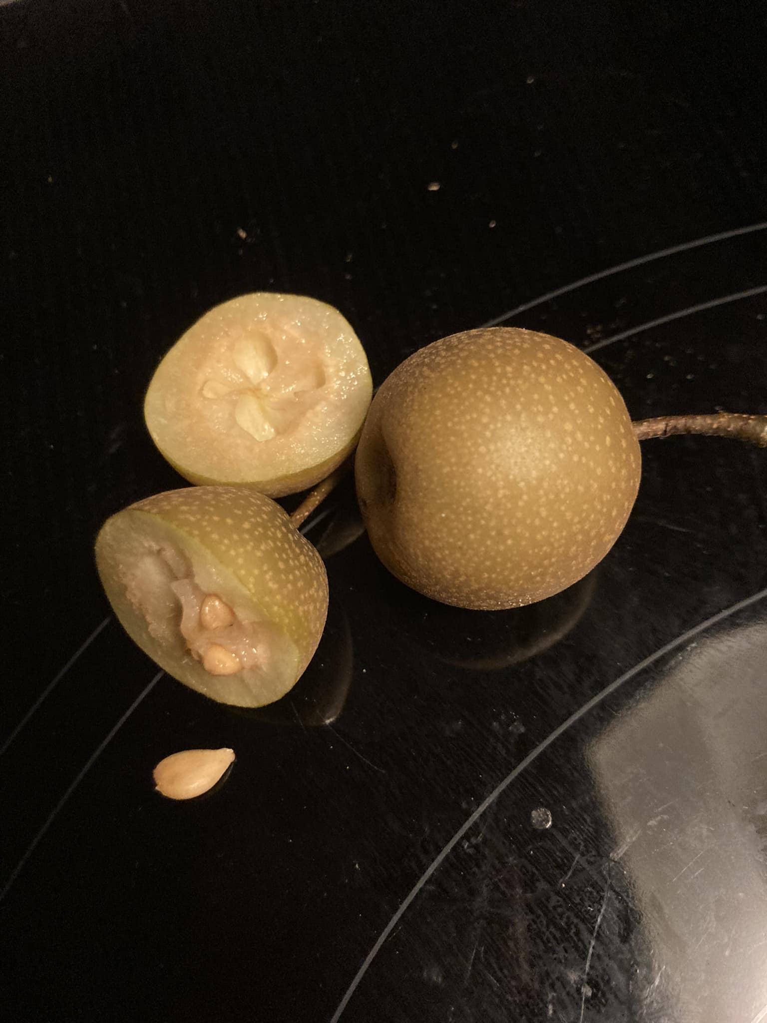 What about sand pears, wild peaches and persimmons in NW Pineville