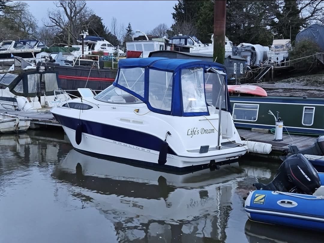Bayliner project boat for sale