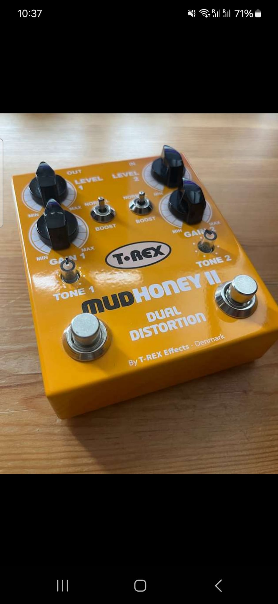 Got to try a T-Rex Mudhoney yesterday, really liked it
