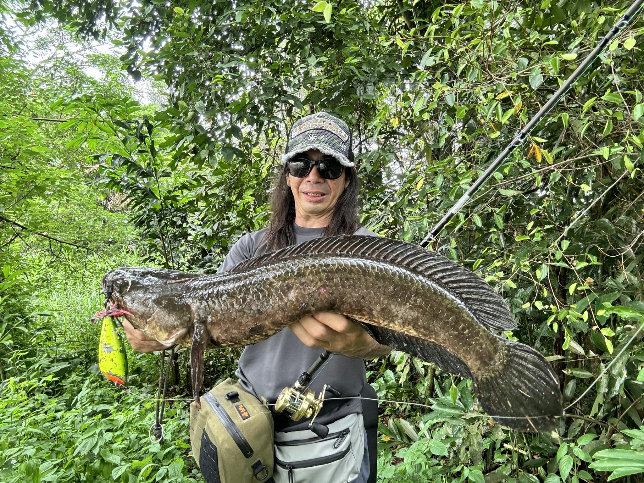shimano 15-40lbs rod Dreamcatcher ZEUS Carbon Fiber Spinning 7ft  Dual Tips Medium & Medium Heavy the new Shimano Terez Spinning Rods are stronger Shimano Trevala PX Jigging Casting
