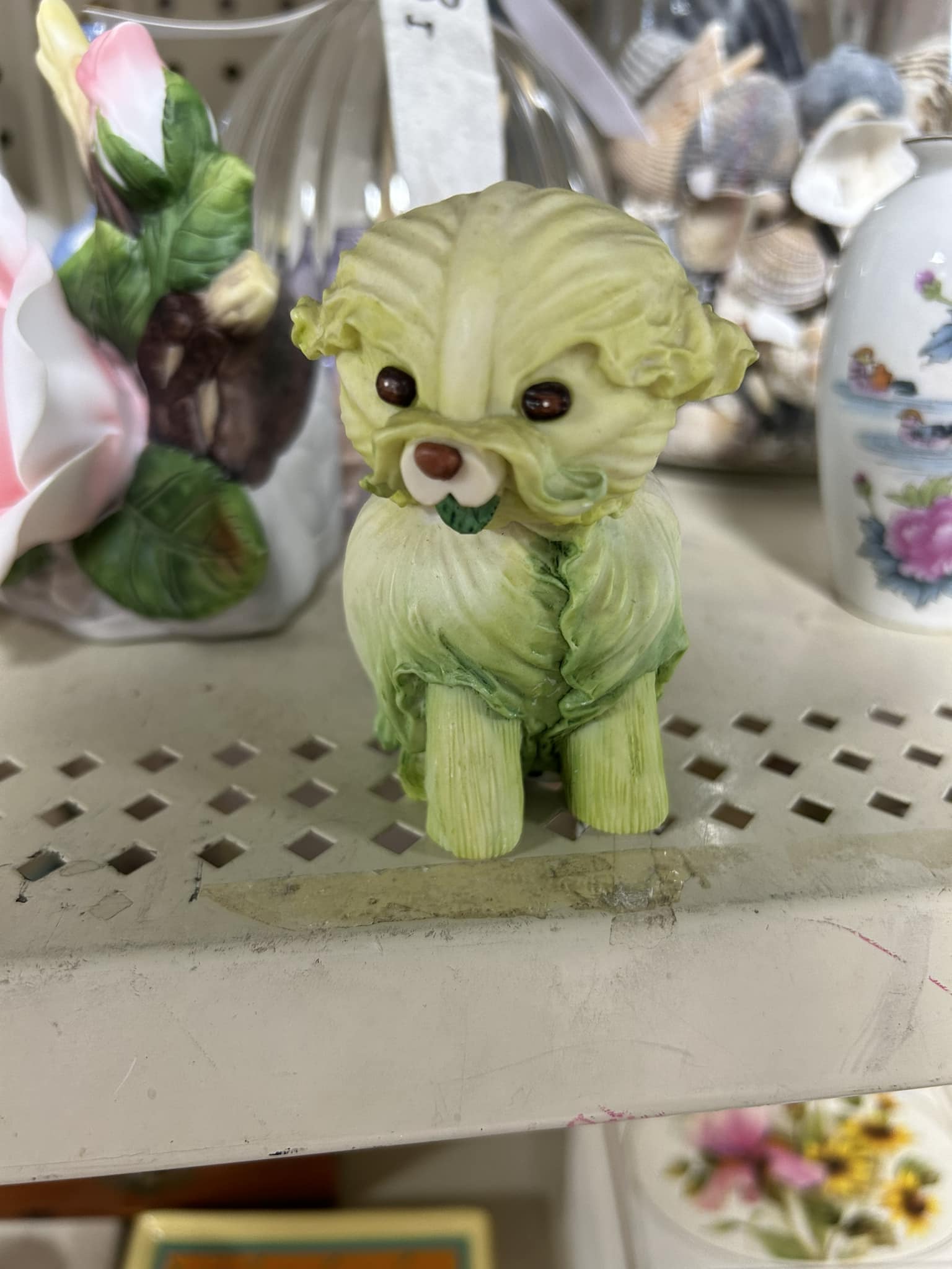 Finding a cabbage dog at a secondhand store