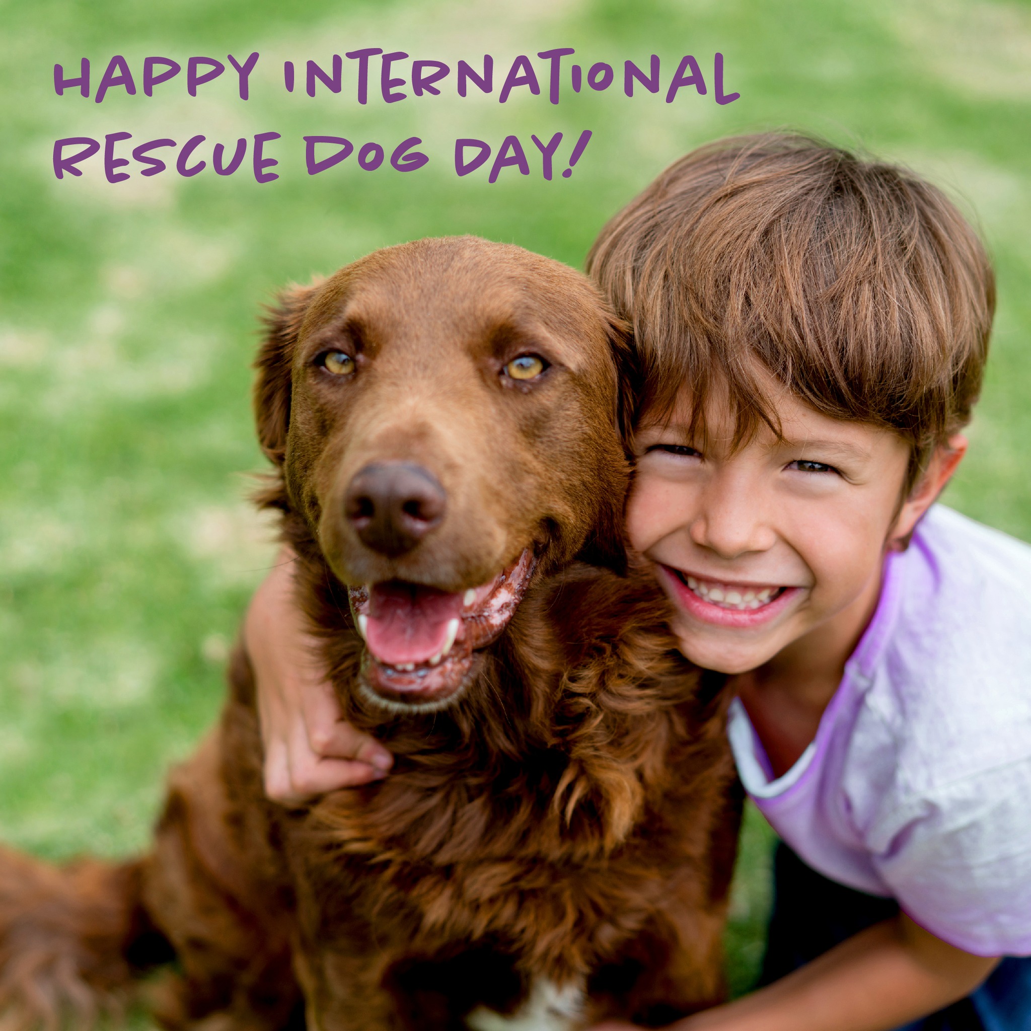 Sentry Pet Care - On International Rescue Dog Day, we...