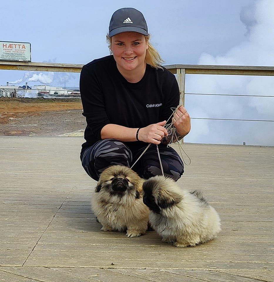 Anja Björg - 🇸🇪 Swedish winner 2026, CACIB, Crufts... | Facebook
