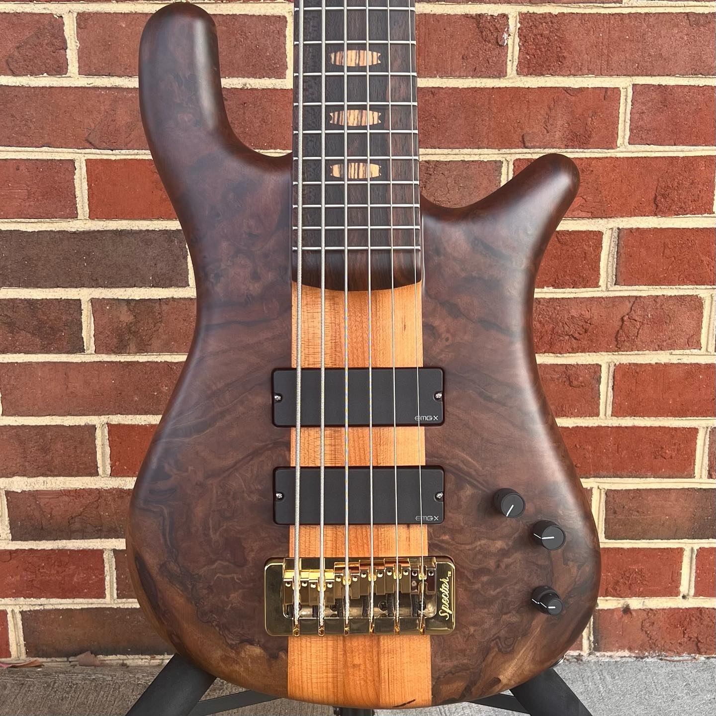 Warwick vs Spector! The Story & Rivalry Behind NS Design