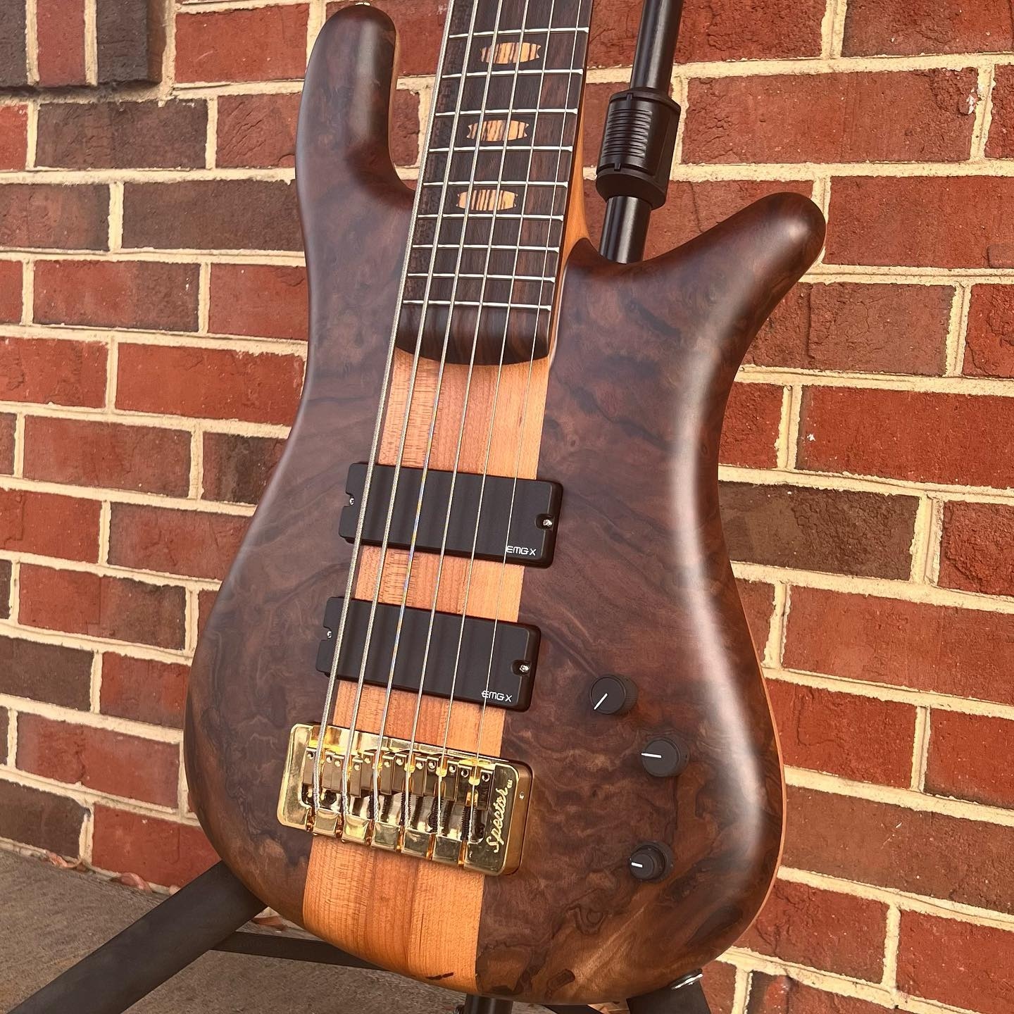 Warwick vs Spector! The Story & Rivalry Behind NS Design