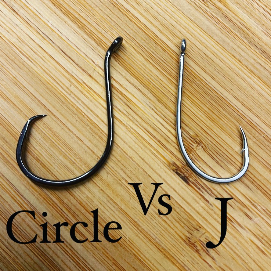 best circle fish hooks Heavyweight Hooks, Octopus, Offset, Sharp for Trophy Catfish or flatheads Mustad R39943NP-BN 4X Strong Demon