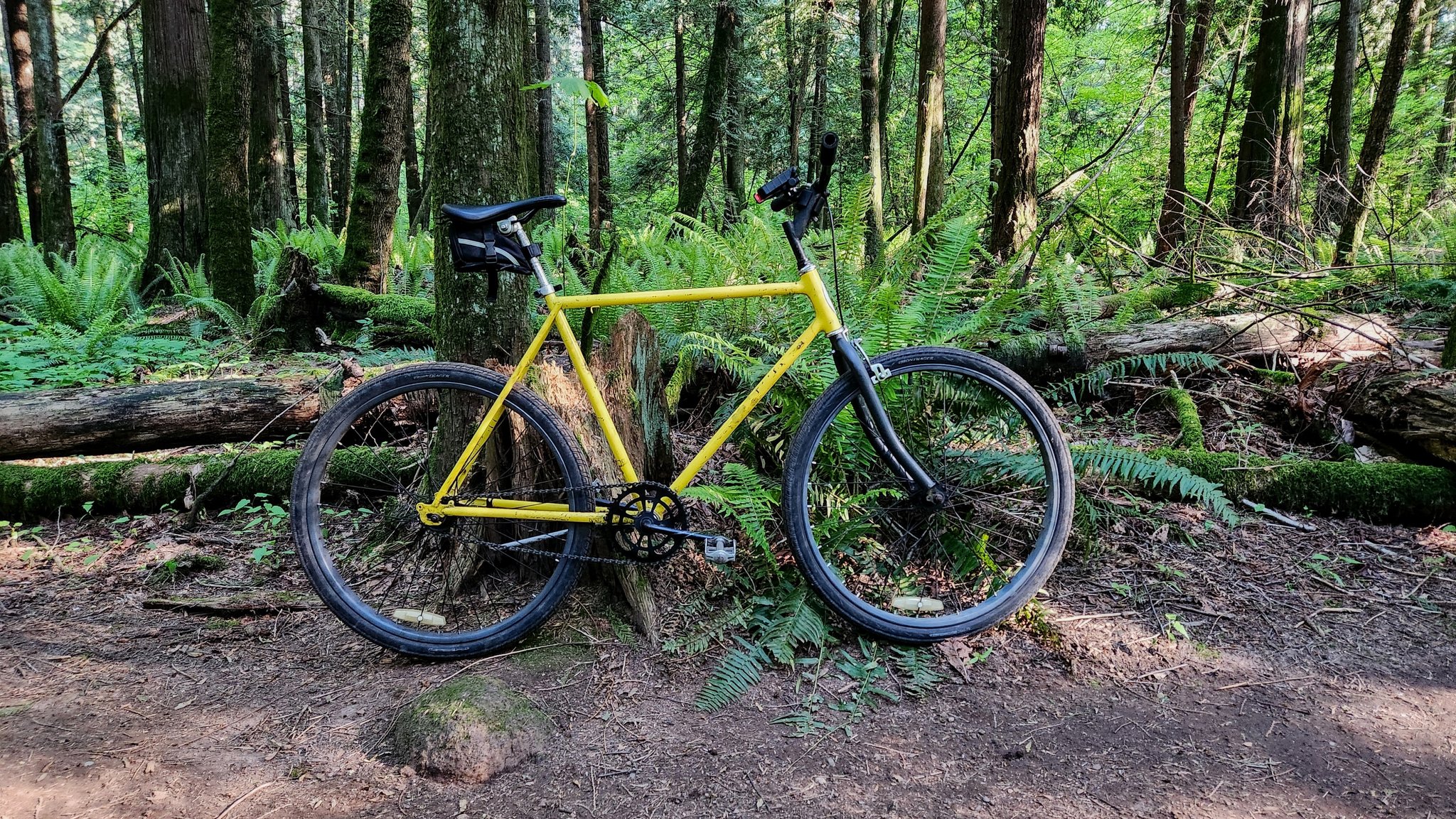 Custom Bike Build with 1970 Schwinn Varsity Frame and Coaster Brakes