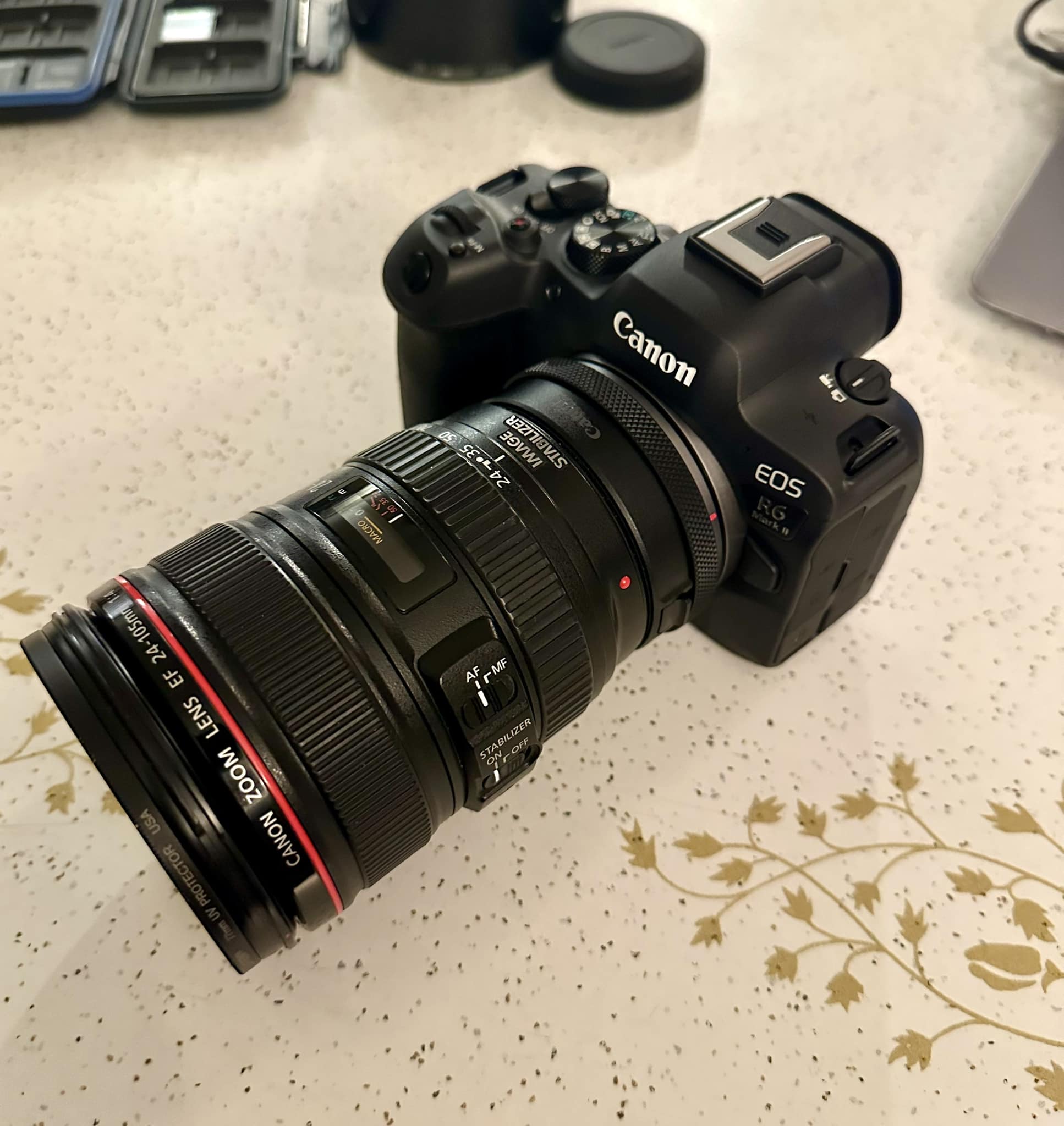 New to Canon R6 Mark II, first impressions with RF 24-105 lens