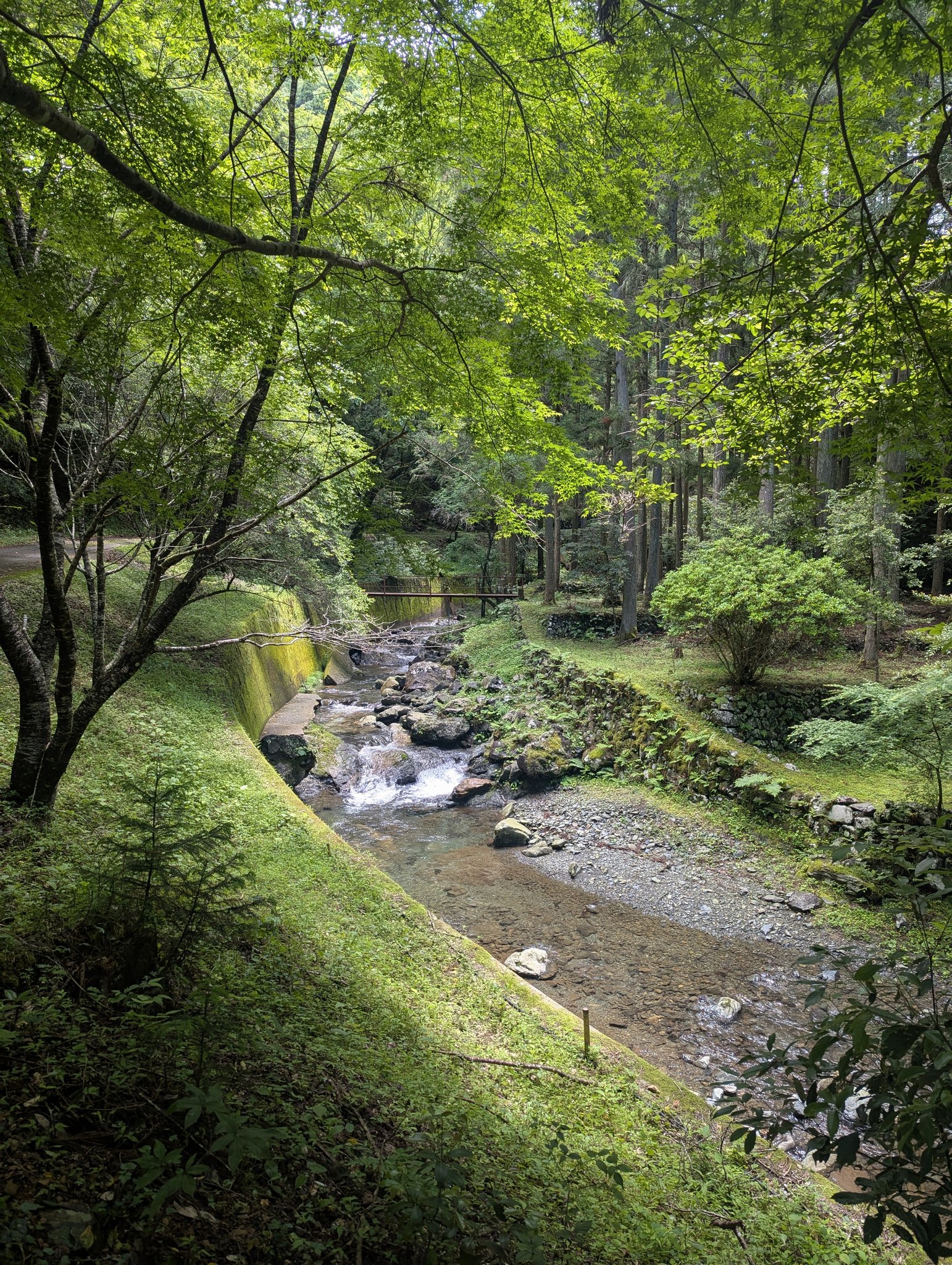 Would people consider a rural stay in Aichi's mountain village?