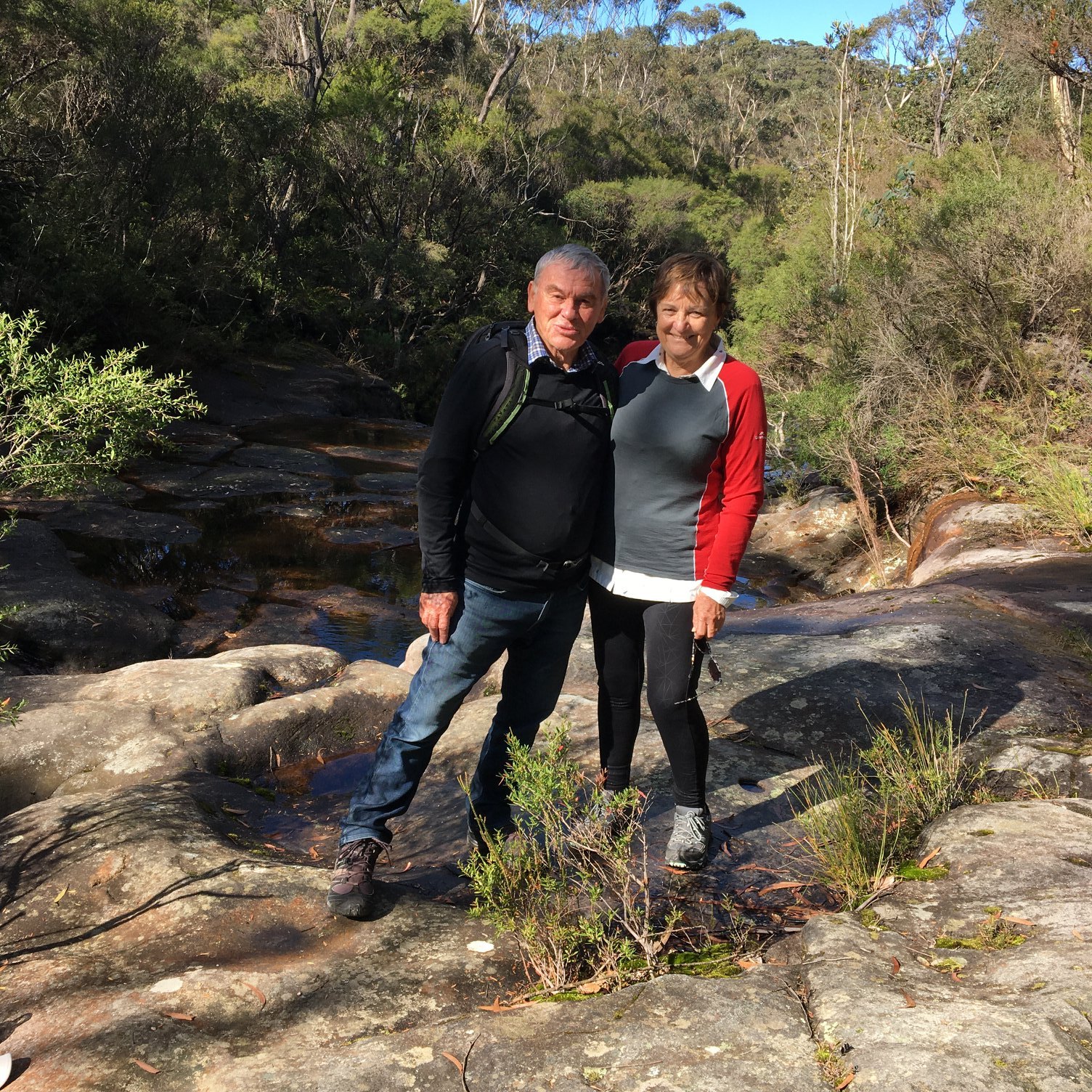 Gerringong community page | I have a healthy feijoa tree in my garden ...