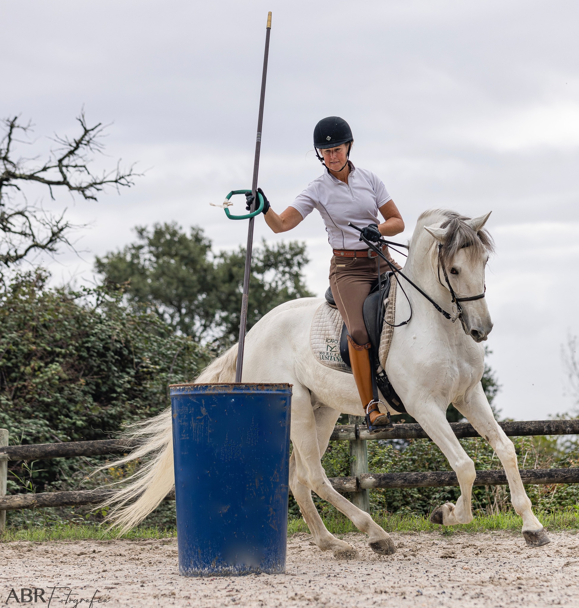 Cardinal Ridge Equestrian Center