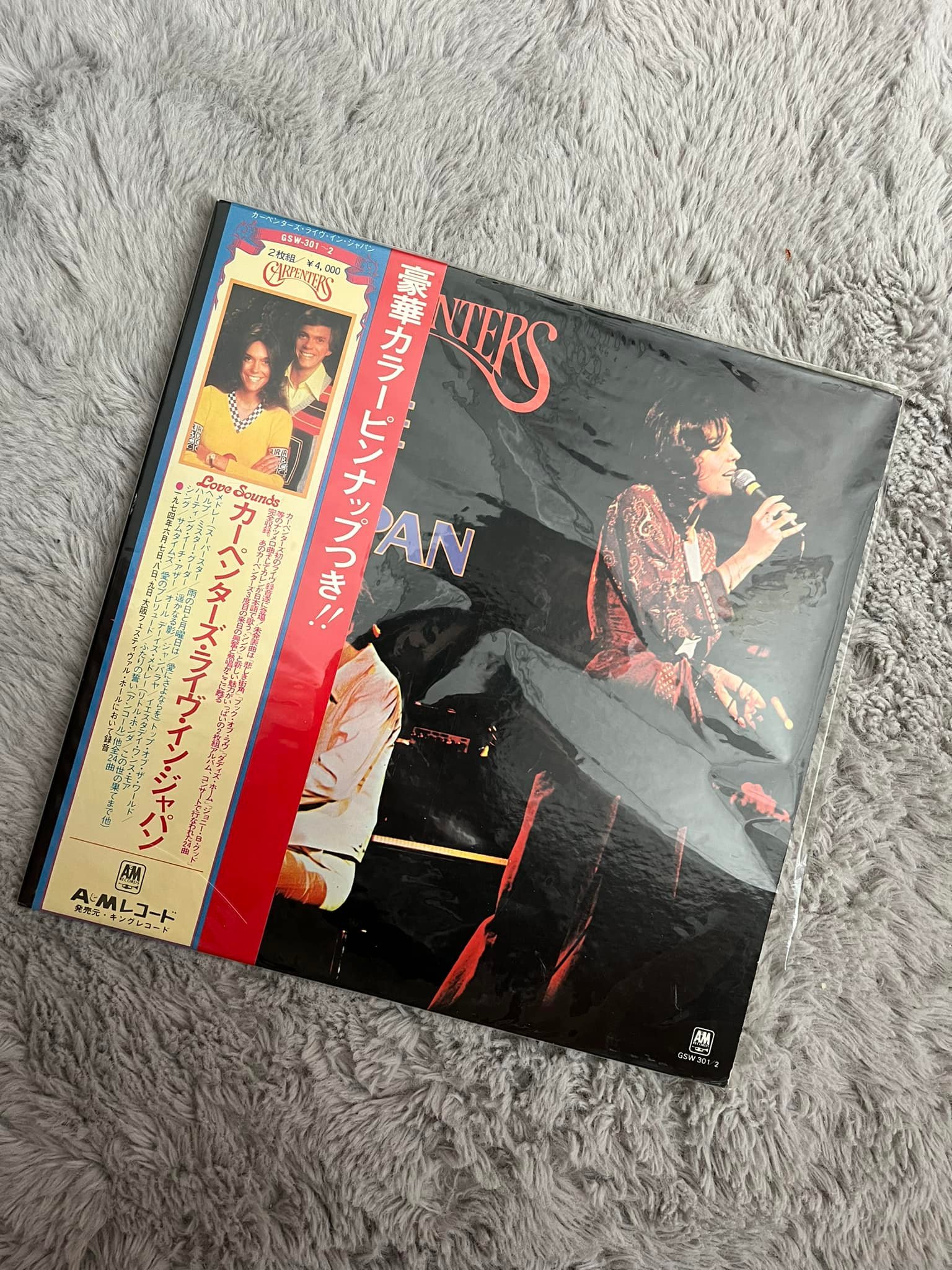 The Carpenters' 1974 Japan Tour and Live Album Recording