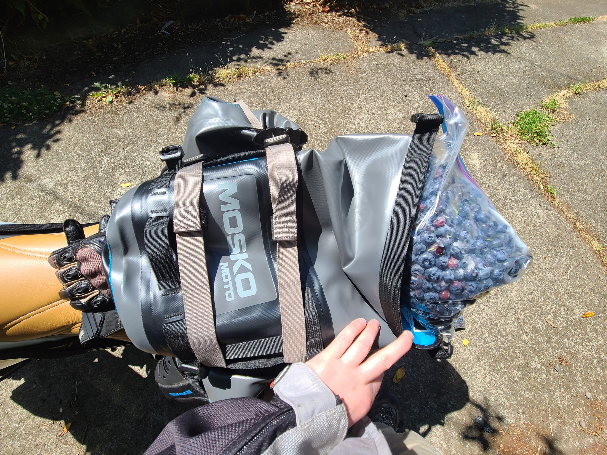 Mosko Moto Gear Stinger 8 Review