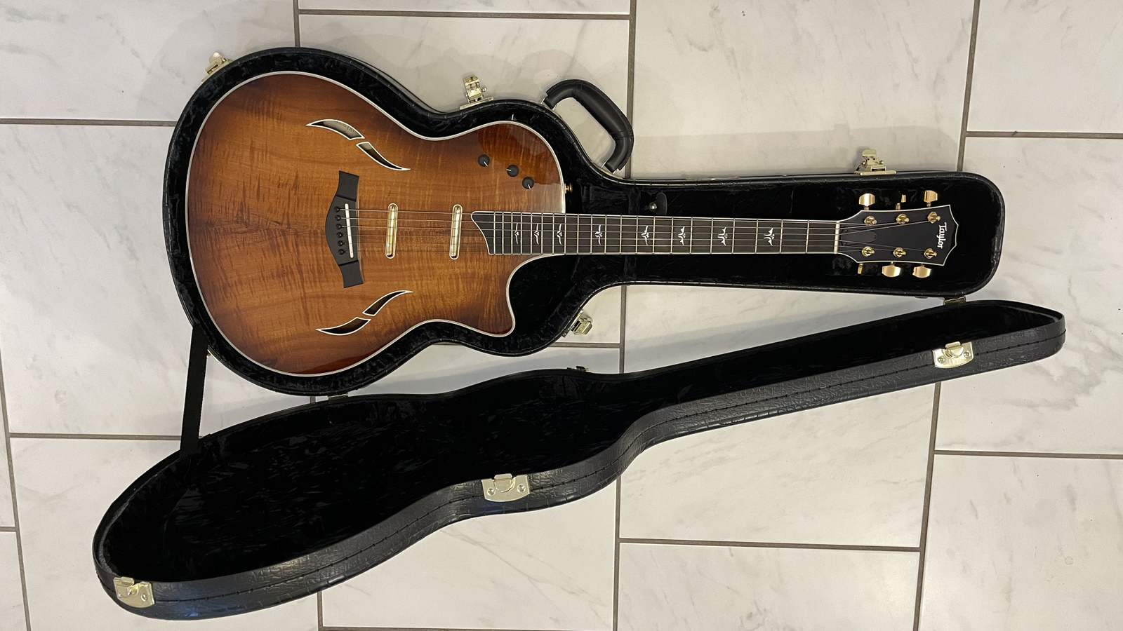 What's different about the 2006 Taylor T5 C2 dual pickup