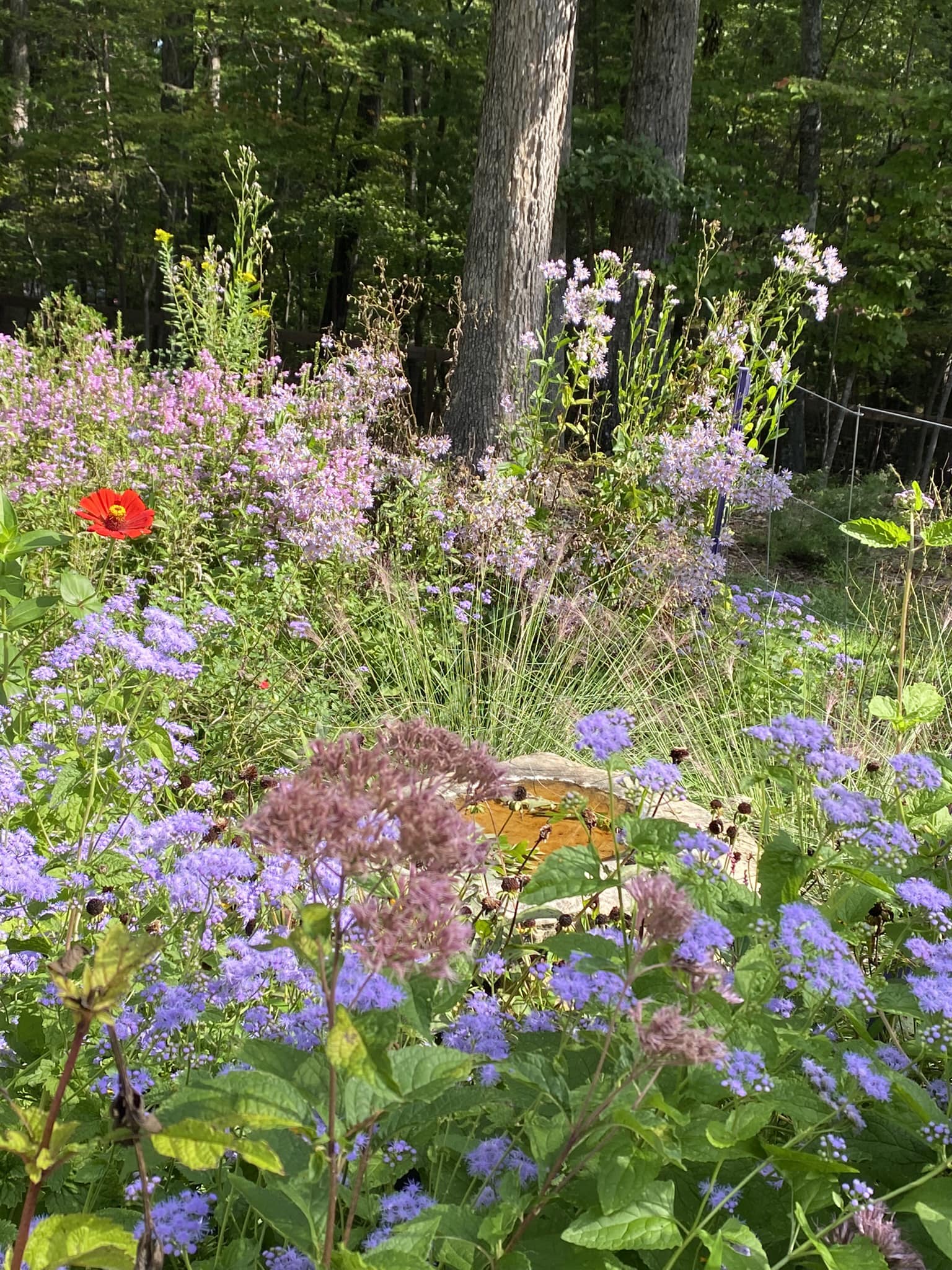 Bringing Nature Home” and “The Living Landscape”