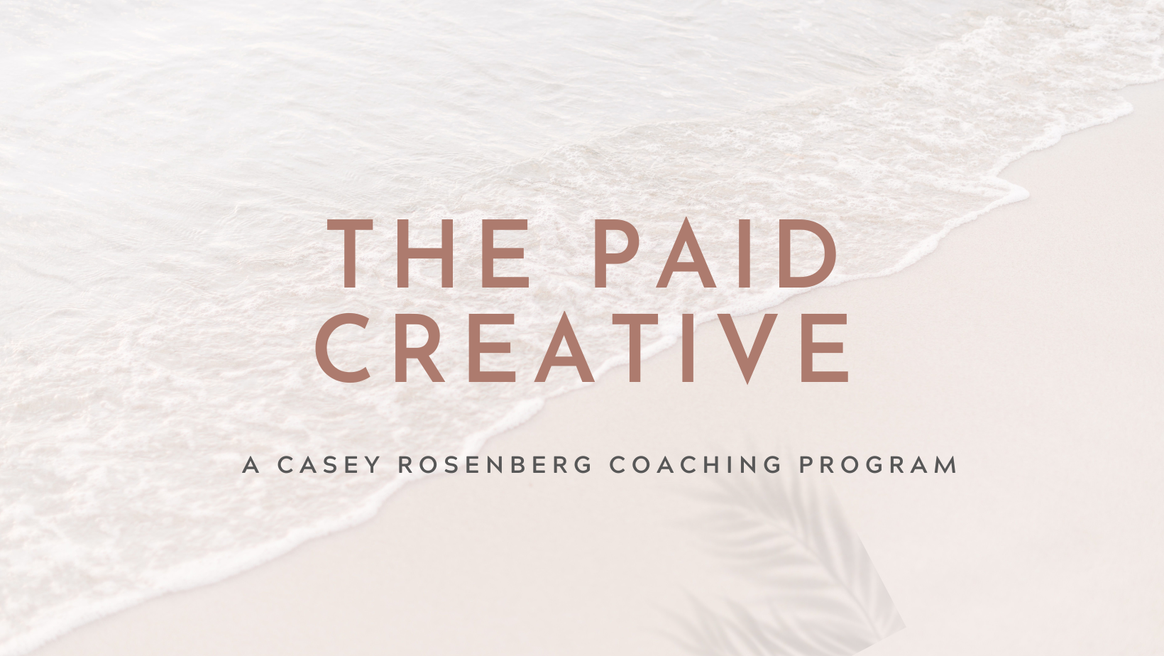 The Paid Creative | Facebook