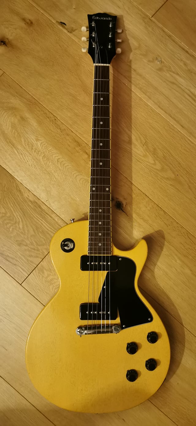 New guitar day: 2010 Edwards E-AN-137FR Antelope!