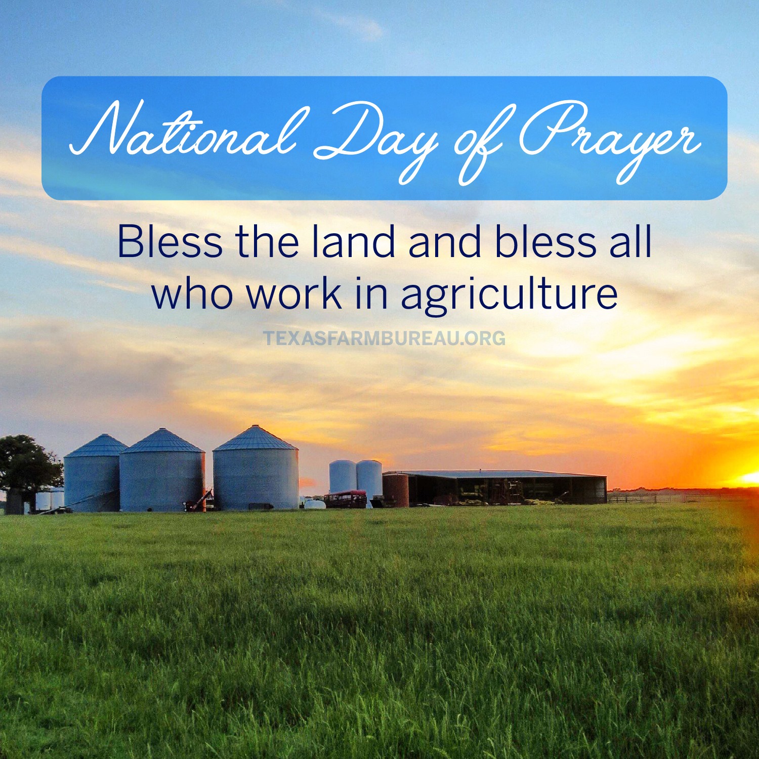 We ask a special blessing for those... - Texas Farm Bureau
