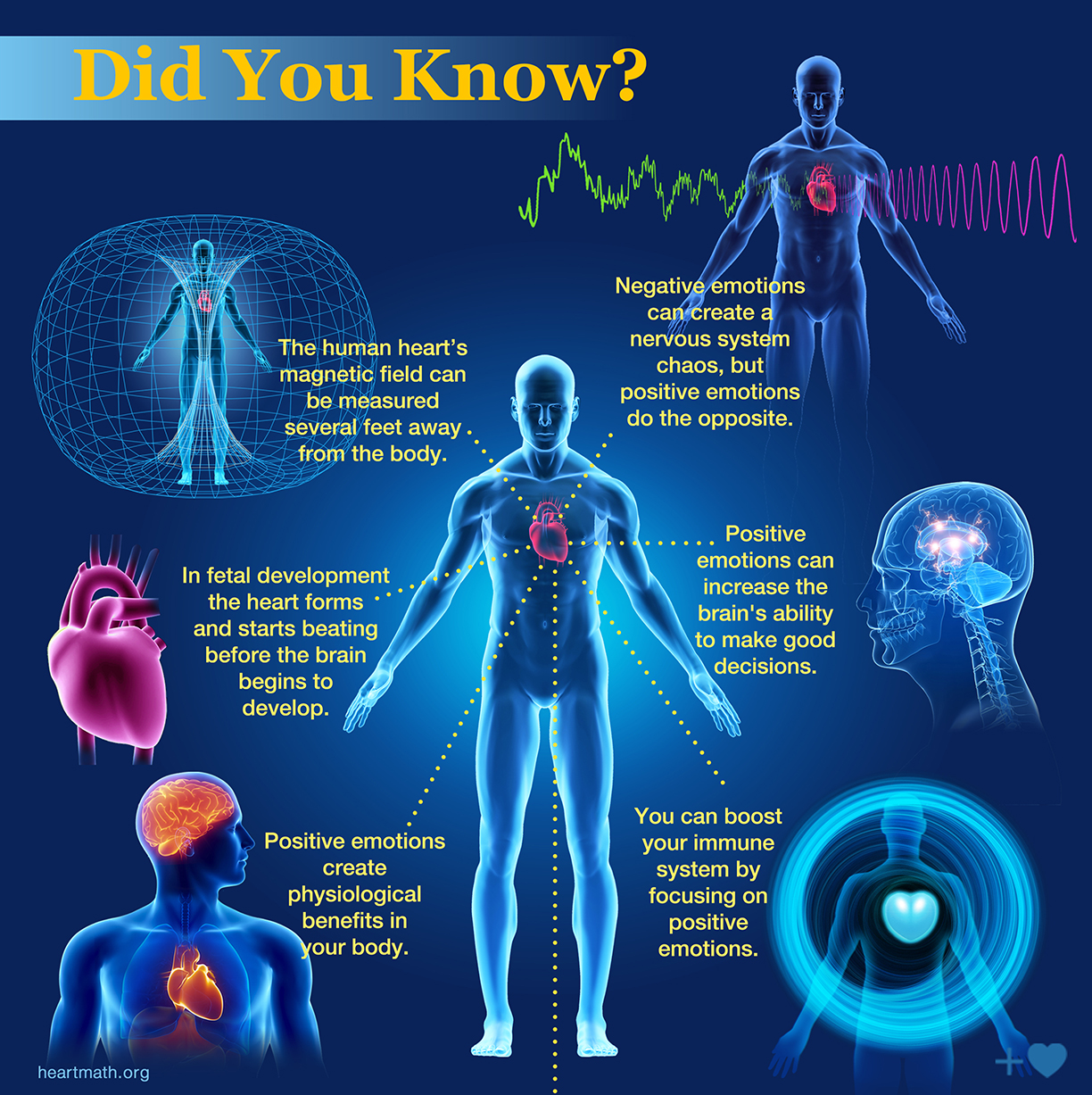 HeartMath Institute - The Mysteries of the Heart Infographic. HeartMath ...