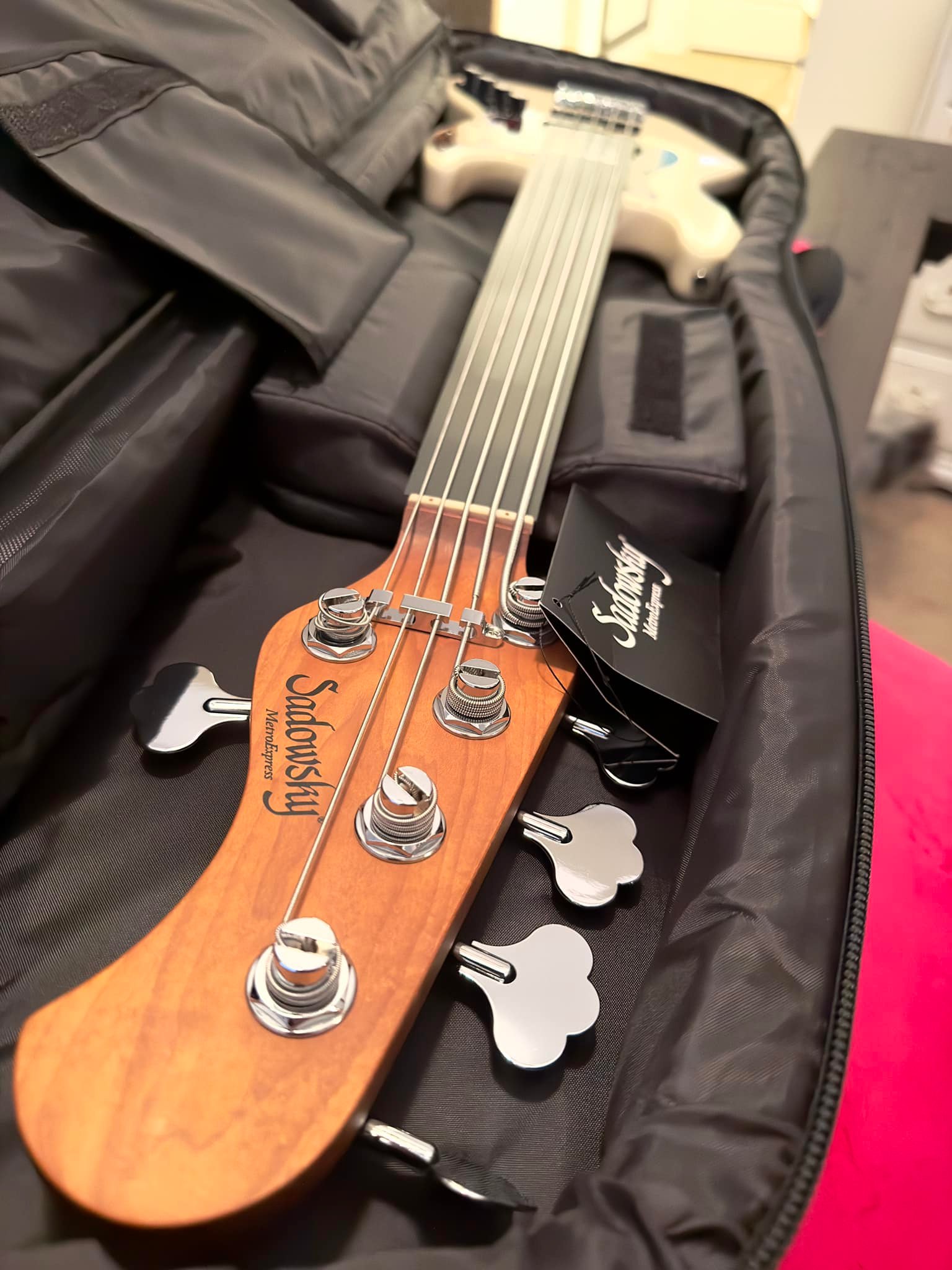 Impressed with fit and finish of Sadowsky gig bag