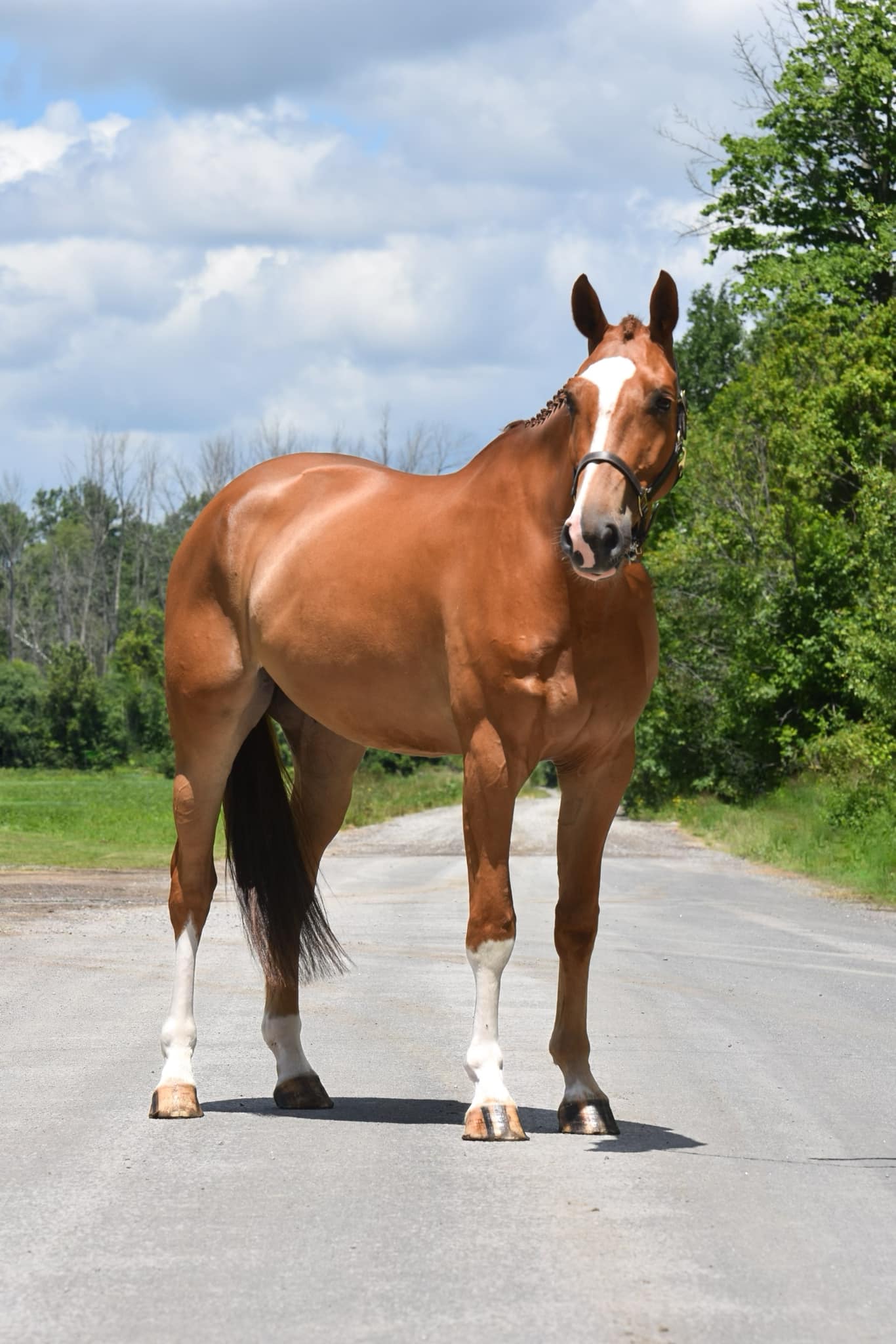 For Consideration: Wynett SPF** Candy de Nantuel x Colandro x