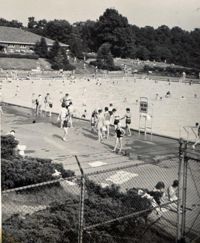A crowded swimming Pool at North Park in the North Hills of