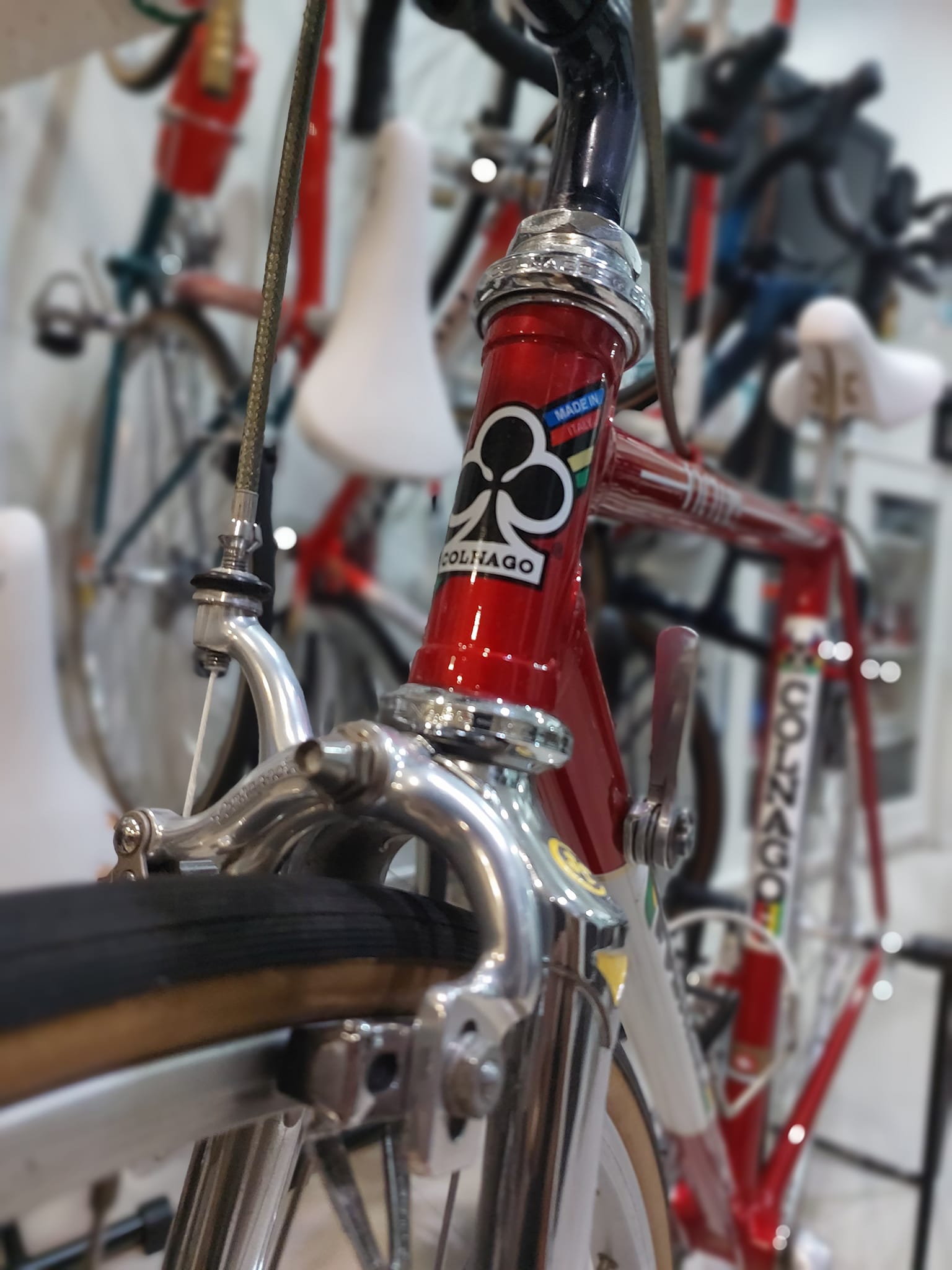 Blue Selle San Marco Hoskar saddle with Colnago logo for sale