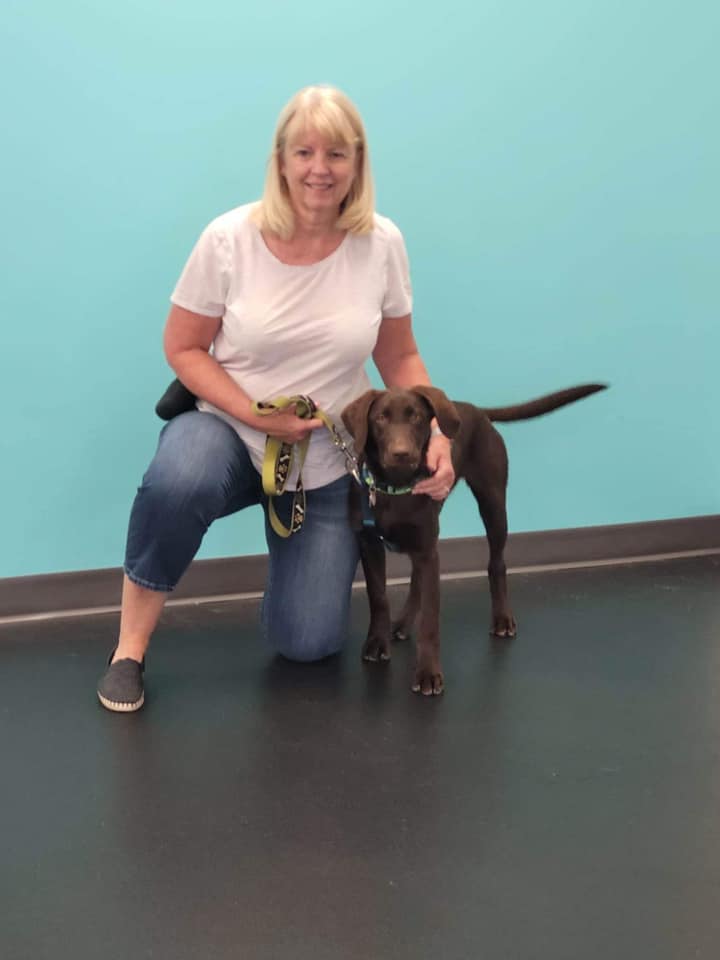 Congratulations to our recent... - Hyper Hounds Dog Training