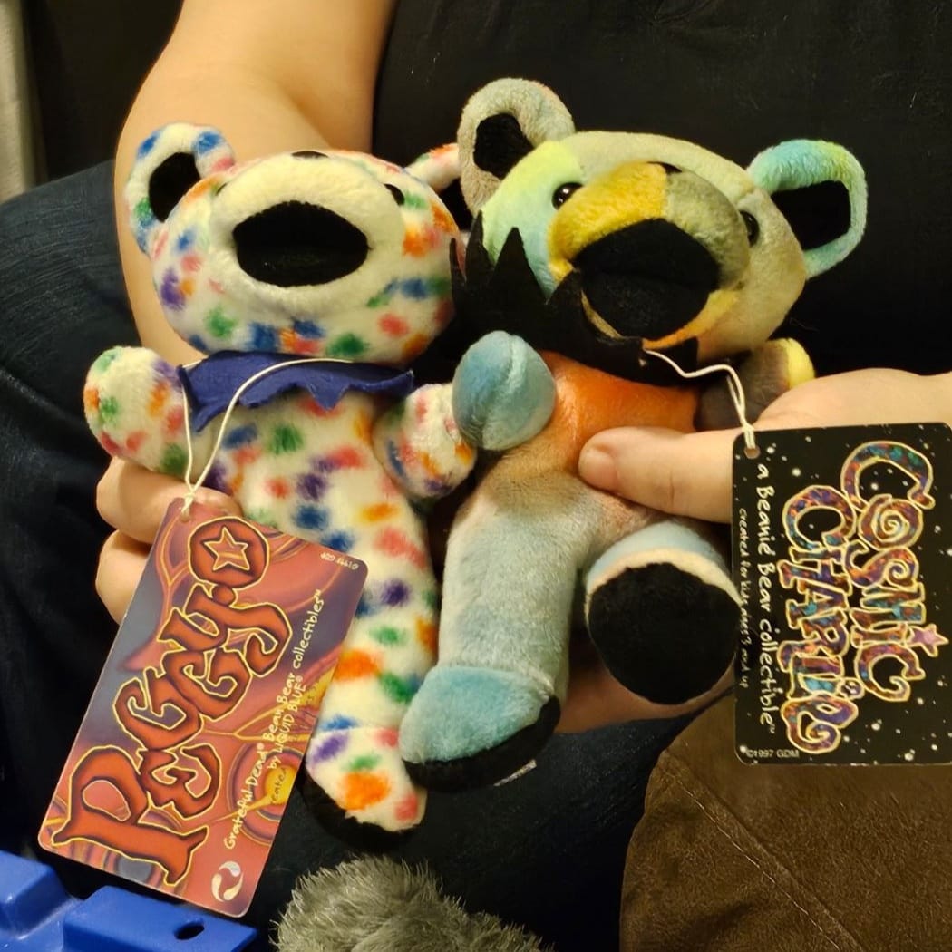 I wanna see everyone's dead beanie bear collection 🐻 🐢 💀 ⚡️