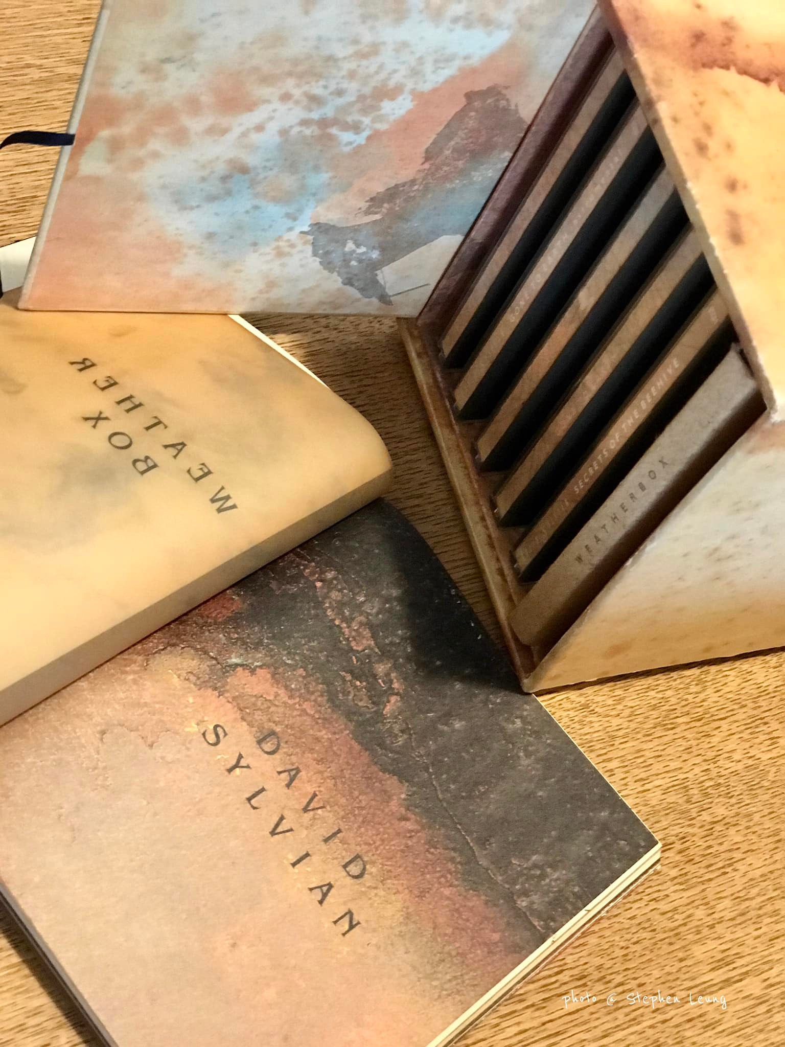David Sylvian's Weather Box limited edition box set
