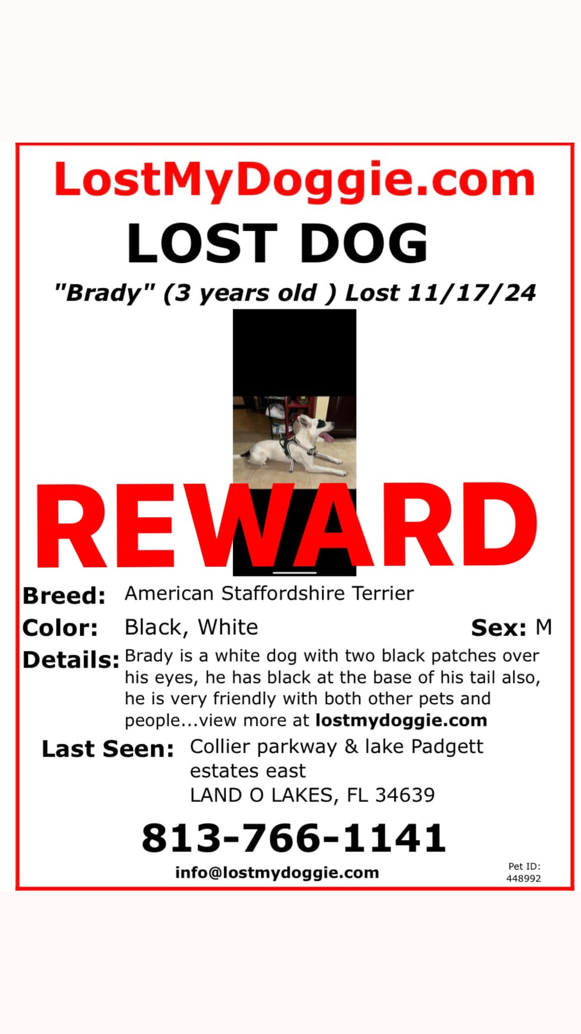 Pasco and surrounding LOST PETS 