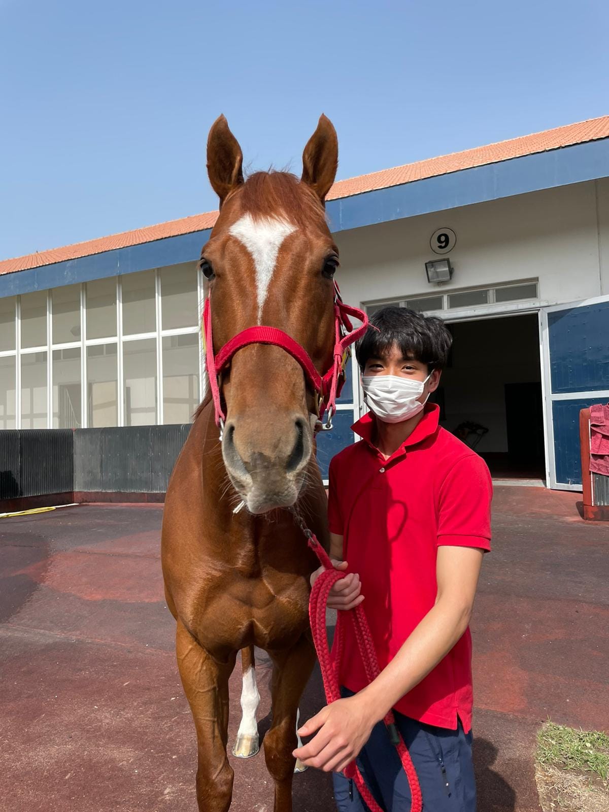 On #TheWinningLine tonight: 🎥 get... - Dubai Racing Channel | Facebook