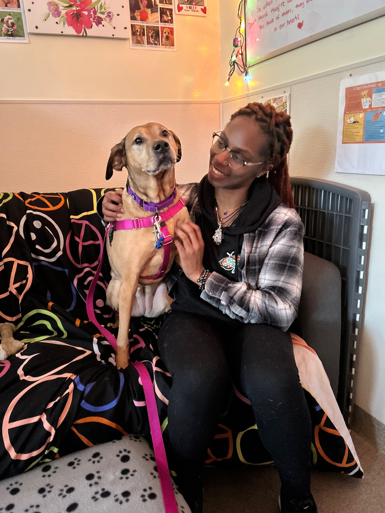 Our Companions Animal... - Our Companions Animal Rescue