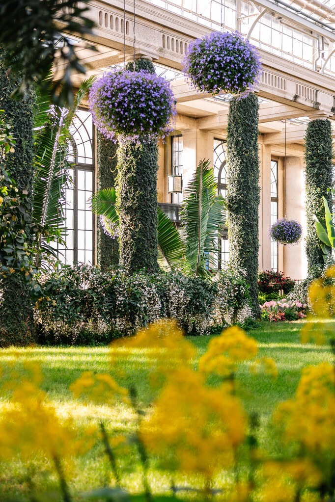 A colorful respite in our Conservatory.... - Longwood Gardens