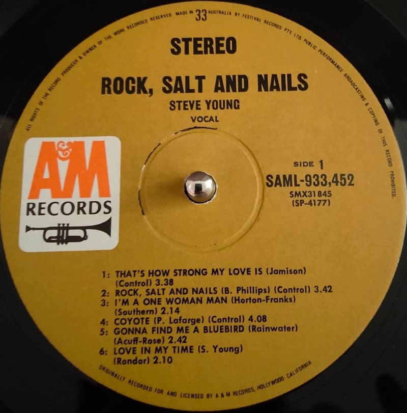 Steve Young's Album Rock Salt & Nails Review and Appreciation