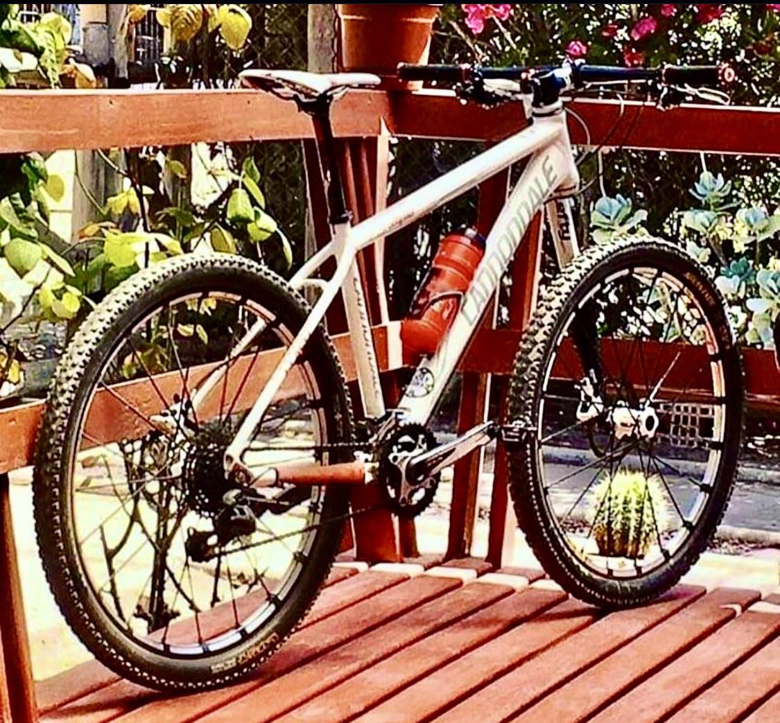 Cannondale Lefty Flash F2 in specific color?