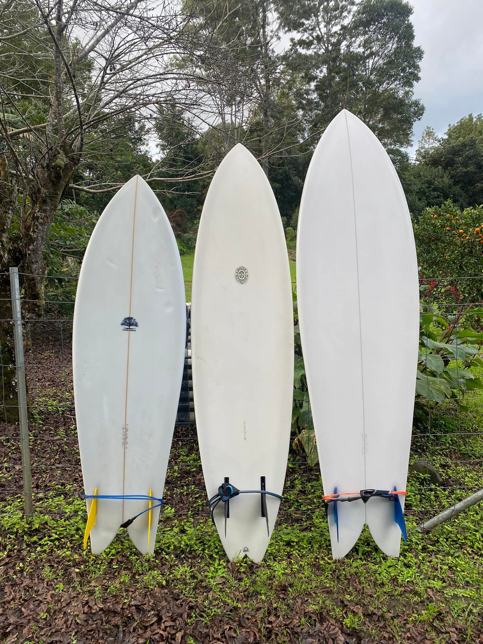 Mackie sidecut fish board performance in clean waves